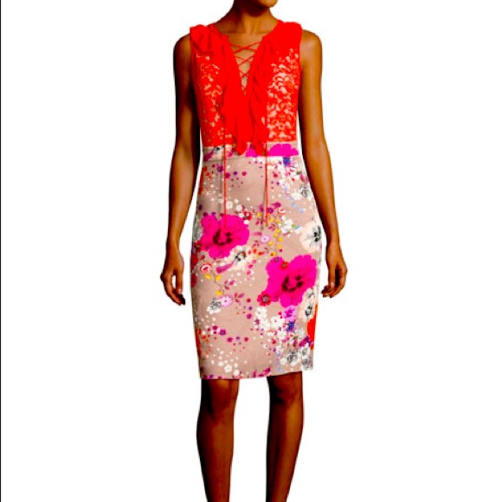 Roberto Cavalli Dress, Pink/Red Sz 40 (4-6)